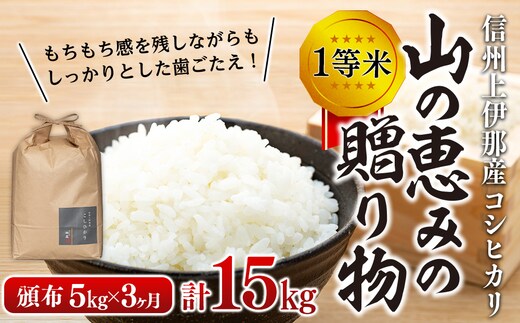 【令和8年産】３ヶ月連続お届け 定期便 信州産 コシヒカリ 1等米 「山の恵みの贈り物」 5kg 計15kg （ お米 コシヒカリ 白米 搗きたて米 低温貯蔵米 食品 ) 長野県 箕輪町 