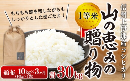 【令和7年産】３ヶ月連続お届け 定期便 信州産 コシヒカリ 1等米 「山の恵みの贈り物」 10kg(10kg×1袋) 計30kg （ お米 コシヒカリ 白米 搗きたて米 低温貯蔵米 食品 ) 長野県 箕輪町 