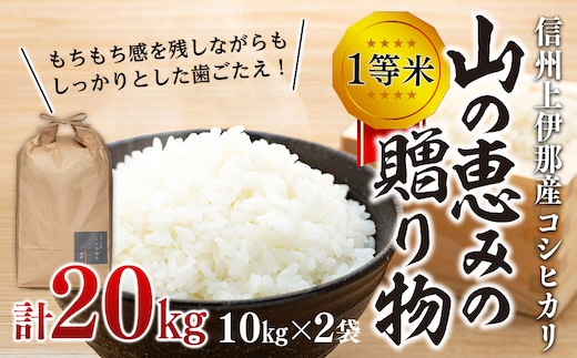 【令和7年産】信州産 コシヒカリ 1等米 「山の恵みの贈り物」 20kg（10kg×2袋） （ お米 コシヒカリ 白米 搗きたて米 低温貯蔵米 食品 ) 長野県 箕輪町
