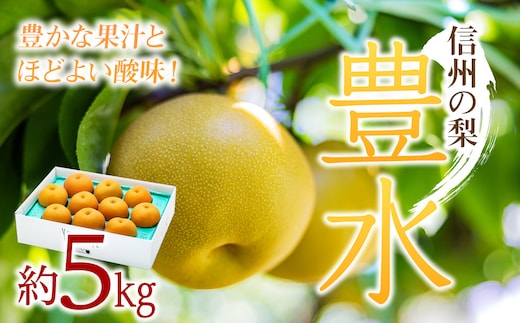 梨 豊水 約5kg 2026年 令和8年発送分 信州の梨 フルーツ 果物 デザート なし ナシ ほうすい ホウスイ 産地直送 長野県 信州産