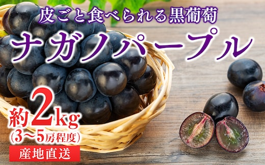 ぶどう 皮ごと食べられる 黒ぶどう ナガノパープル 約2kg フルーツ ※クレジット限定