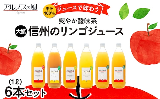 果汁100％ジュースで味わう 信州のリンゴ 爽やか酸味系 大瓶 6本 セット 詰め合わせ りんご 林檎 アップル アップルジュース ミックスジュース 無添加 飲料 飲料類 甘い 濃厚 長野 長野県