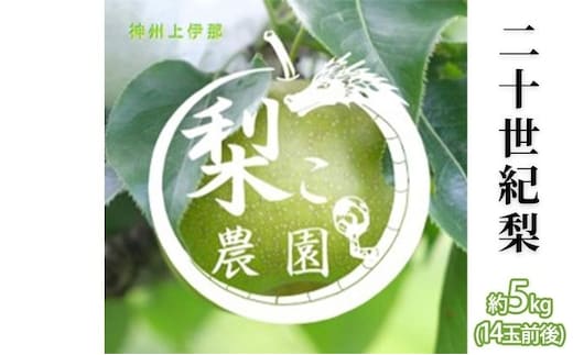 【無農薬】梨 先行予約 二十世紀梨 約5kg 14玉前後 フルーツ 果物 旬の果物 旬のフルーツ 甘い 皮ごと 