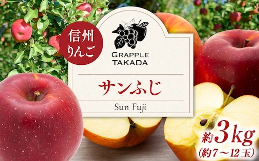 信州りんご サンふじ3kg ※オンライン決済限定 りんご リンゴ 林檎 長野 フルーツ 果物 信州産 長野県産 特産 産地直送 おすすめ