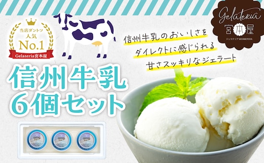 ジェラート 信州牛乳 6個 セット 詰め合わせ 当店人気No.１ジェラート ミルク アイス アイスクリーム シャーベット 美味しい デザート 人気 砂糖控えめ 甘さスッキリ ヘルシー