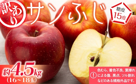 訳あり りんご サンふじ 4.5kg 16～18玉 林檎 リンゴ サンフジ さんふじ 傷 キズ 果物 くだもの フルーツ 旬の果物 旬のフルーツ 家庭用 訳アリ 信州 長野 長野県