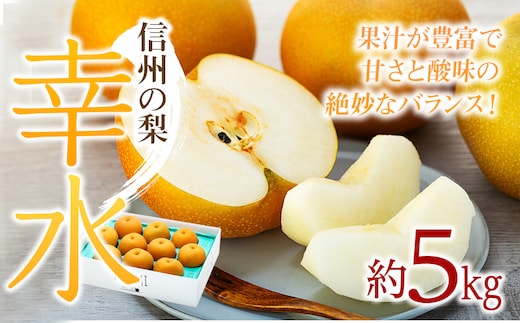 梨 幸水 5kg 2026年秋 信州の梨 シャリっとしてみずみずしい梨 果物 くだもの フルーツ 旬の果物 旬のフルーツ 信州 長野 長野県