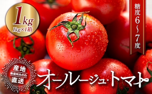 トマト 長野 オールージュトマト 1kg 野菜 夏野菜 夏 旬 旬野菜 甘い 国産 ビタミン ミネラル 抗酸化 リコピン 美容 健康 フルーツトマト フルーツ 長野県産 長野県 箕輪町