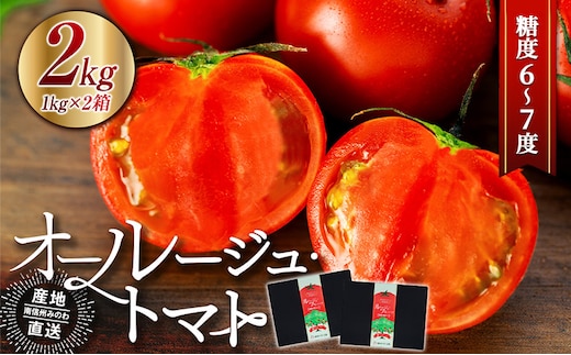 トマト 長野 オールージュトマト 2kg 野菜 夏野菜 夏 旬 旬野菜 甘い 国産 ビタミン ミネラル 抗酸化 リコピン 美容 健康 フルーツトマト フルーツ 長野県産 長野県 箕輪町