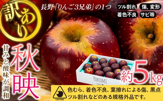 【2026年/令和8年度発送分 】訳あり 信州のりんご 秋映 約 5kg りんご リンゴ 林檎 長野 フルーツ 果物 信州産 長野県産 特産 産地直送 おすすめ