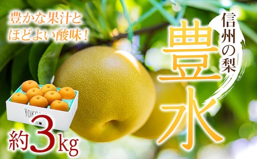 【2026年/令和8年発送分 】梨 長野 豊水 約 3kg 信州の梨 水分たっぷりジューシーな梨です フルーツ 果物 デザート なし ナシ ほうすい ホウスイ 産地直送 長野県 信州産