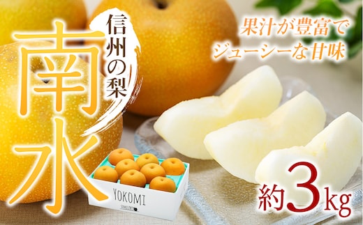 【2026年/令和8年発送分 】梨 長野 南水 約 3kg 信州の梨 フルーツ 果物 デザート おやつ なし ナシ なんすい ナンスイ 産地直送 長野県 長野県産 信州産 長野県箕輪町