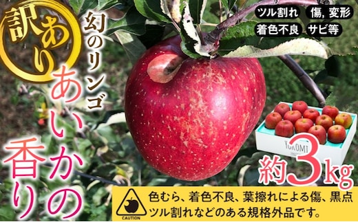 訳あり りんご あいかの香り 約3kg セット 2026年 令和8年度発送分 リンゴ 林檎 長野 フルーツ 果物 信州産 長野県産 特産 産地直送 家庭用 おすすめ