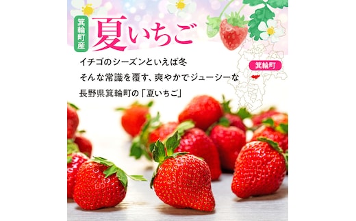 いちご 夏いちご 夏秋いちご詰め合わせ