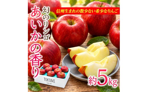 りんご あいかの香り 約5kg セット 2026年 令和8年度発送分 リンゴ 林檎 長野 フルーツ 果物 信州産 長野県産 特産 産地直送 おすすめ