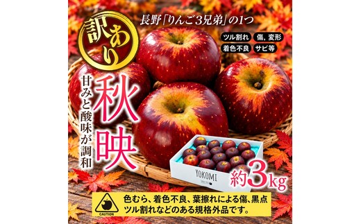 【2026年/令和8年度発送分 】訳あり 信州のりんご 秋映 約 3kg りんご リンゴ 林檎 長野 フルーツ 果物 信州産 長野県産 特産 産地直送 おすすめ