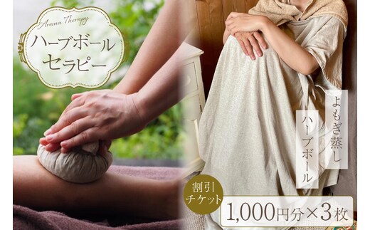 ハーブボール セラピー 割引チケット 3,000円分 [和のか 長野県 池田町 48110809] リラクゼーション よもぎ蒸し 植物療法
