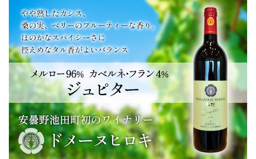ジュピター 750ml 1本 [ ヴィニョブル安曇野(ドメーヌ・ヒロキ) 長野県 池田町 48110811] ワイン 赤 赤ワイン