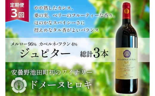 3回 定期便 ワイン ジュピター 750ml×1本 計3本 [ ヴィニョブル安曇野(ドメーヌ・ヒロキ) 長野県 池田町 48110812] ワイン 赤 赤ワイン