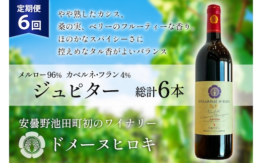 6回 定期便 ワイン ジュピター 750ml×1本 計6本 [ ヴィニョブル安曇野(ドメーヌ・ヒロキ) 長野県 池田町 48110813] ワイン 赤 赤ワイン