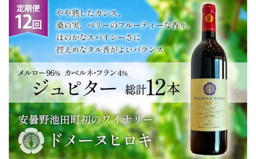 12回 定期便 ワイン ジュピター 750ml×1本 計12本 [ ヴィニョブル安曇野(ドメーヌ・ヒロキ) 長野県 池田町 48110814] ワイン 赤 赤ワイン
