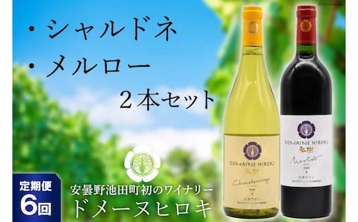 【6回定期便】 自社農園100％ ワイン 白 赤 シャルドネとメルローのセット 750ml×2本 6回 総計9000ml [ヴィニョブル安曇野（ドメーヌ・ヒロキ） 長野県 池田町 48110824] 白ワイン 赤ワイン お酒 酒