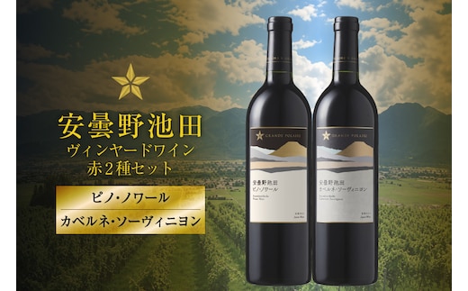 赤ワイン セット サッポログランポレール 安曇野池田ヴィンヤードワイン 赤2種セット 750ml 計2本 [ナチュラルマルシェ ソヨソヨ 長野県 池田町 48110928] 酒 お酒 アルコール 赤 赤ワイン 国産 あるこーる ぶどう 特別 フルボディ ミディアムボディ 料理 セット