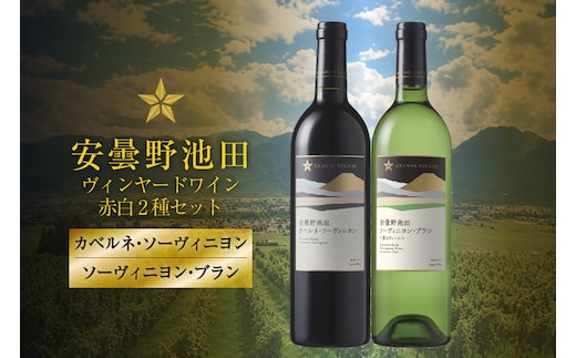 ワイン セット サッポログランポレール 安曇野池田ヴィンヤードワイン 赤白2種セット 750ml 計2本 [ナチュラルマルシェ ソヨソヨ 長野県 池田町 48110929] 酒 お酒 アルコール 赤 赤ワイン 白 白ワイン 国産 あるこーる ぶどう 特別 フルボディ 辛口 料理 セット