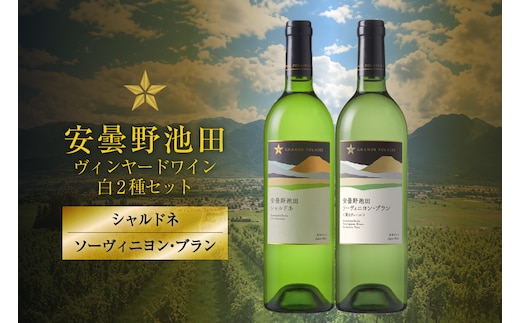 ワイン セット サッポログランポレール 安曇野池田ヴィンヤードワイン 白2種セット 750ml 計2本 [ナチュラルマルシェ ソヨソヨ 長野県 池田町 48110930] 酒 お酒 アルコール 白 白ワイン ブラン 国産 あるこーる ぶどう 特別 辛口 料理 セット