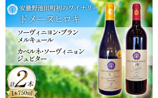 ワイン メルキュール ジュピター 赤 白 飲み比べ 750ml 2本 [ヴィニョブル安曇野 長野県 池田町 48110837] 赤ワイン 白ワイン わいん お酒 酒 Wine ソーヴィニヨン カベルネ 長野 長野県産 飲み比べセット セット