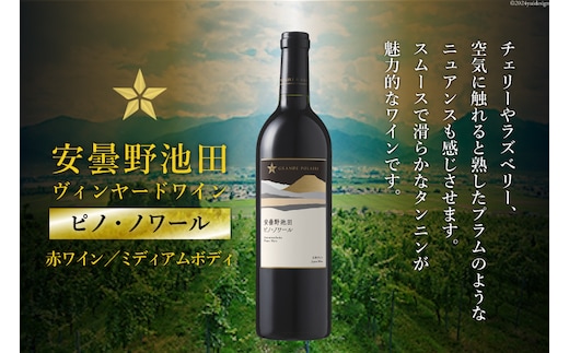 赤ワイン サッポロ グランポレール 安曇野池田ヴィンヤード「ピノ・ノワール」750ml [池田町ハーブセンター 長野県 池田町 48110607] 赤 ワイン ミディアムボディ お酒 酒