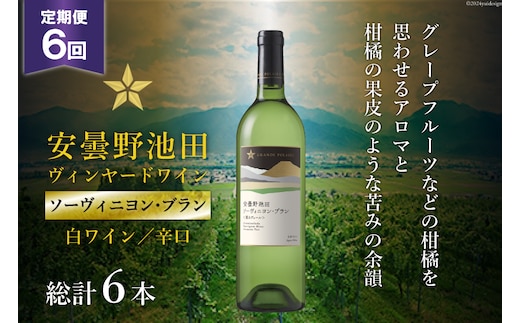 6回 定期便 白ワイン サッポロ グランポレール 安曇野池田ヴィンヤード「ソーヴィニヨン・ブラン」750ml 総計6本 [池田町ハーブセンター 長野県 池田町 48110616] 白 ワイン 辛口 お酒 酒
