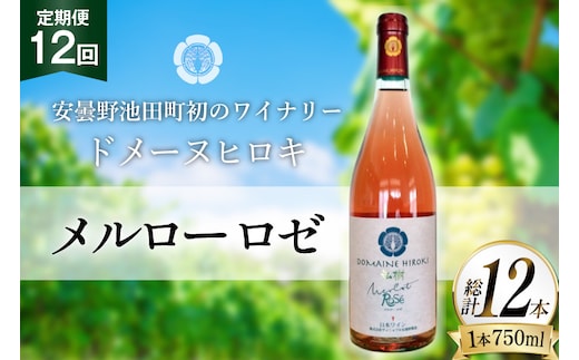 定期便 ロゼワイン メルロー ロゼ 750ml 12回 計 12本 [ヴィニョブル安曇野 長野県 池田町 48110758] ギフト ワイン