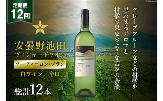 12回 定期便 白ワイン サッポロ グランポレール 安曇野池田ヴィンヤード「ソーヴィニヨン・ブラン」750ml 総計12本 [池田町ハーブセンター 長野県 池田町 48110617] 白 ワイン 辛口 お酒 酒