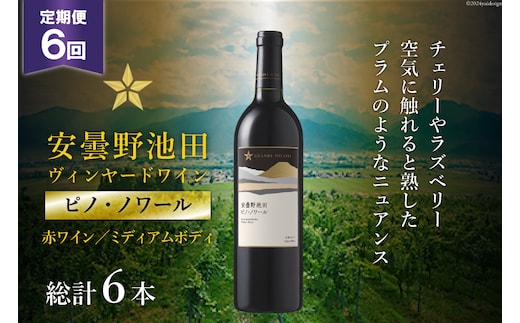 6回 定期便 赤ワイン サッポロ グランポレール 安曇野池田ヴィンヤード「ピノ・ノワール」750ml 総計6本 [池田町ハーブセンター 長野県 池田町 48110622] 赤 ワイン ミディアムボディ お酒 酒 