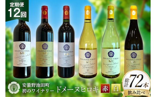 定期便 ワイン 赤白 6本 セット 各 750ml 12回 計 72本 [ヴィニョブル安曇野 長野県 池田町 48110764] フルボディ 飲み比べ ワインセット 赤ワイン 白ワイン
