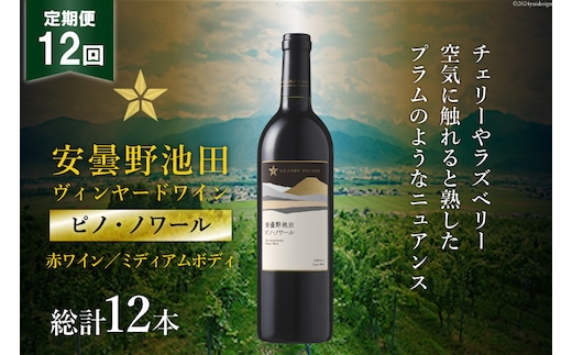 12回 定期便 赤ワイン サッポロ グランポレール 安曇野池田ヴィンヤード「ピノ・ノワール」750ml 総計12本 [池田町ハーブセンター 長野県 池田町 48110623] 赤 ワイン ミディアムボディ お酒 酒 