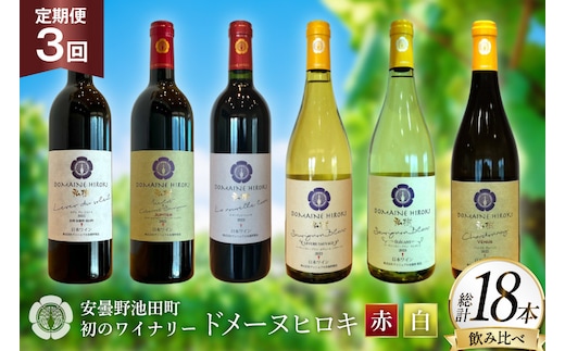 定期便 ワイン 赤白 6本 セット 各 750ml 3回 計 18本 [ヴィニョブル安曇野 長野県 池田町 48110766] フルボディ 飲み比べ ワインセット 赤ワイン 白ワイン