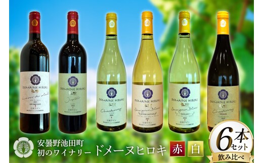 白 赤 ワイン 750ml 6本 セット [ヴィニョブル安曇野 長野県 池田町 48110817] 飲み比べ ワインセット
