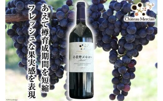 赤ワイン 安曇野メルロー 750ml 1本 [シャトー・メルシャン 勝沼ワイナリー 長野県 池田町 48110298] 赤 ワイン ギフト お酒 シャトー