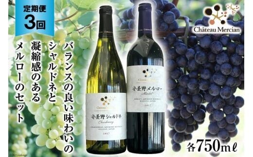 定期便 ワイン 赤 白 安曇野メルロー & 安曇野シャルドネ 各 750ml 3回 計 6本 [シャトー・メルシャン 勝沼ワイナリー 長野県 池田町 48110303] 飲み比べ 赤ワイン 白ワイン 赤白