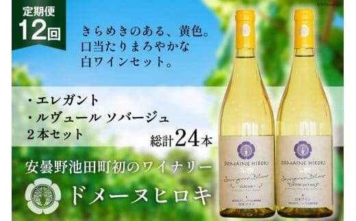 白ワイン セット エレガント & ルヴュールソバージュ 各750ml 計2本 12回 総計24本 [ヴィニョブル安曇野 長野県 池田町 48110358] ワイン 白 白ワインセット ワインセット 飲み比べ