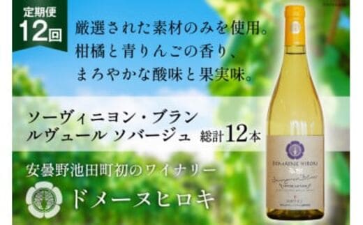 【12回 ワイン 定期便 】ソーヴィニヨン ブラン ルヴュール ソバージュ750ml 1本 ×12回 総計12本 [ヴィニョブル安曇野 DOMAINE HIROKI 長野県 池田町 48110706] 白ワイン お酒 酒