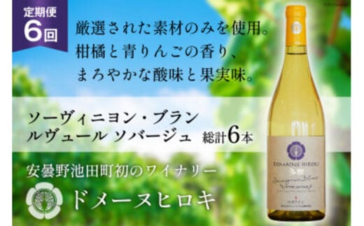 【6回 ワイン 定期便 】ソーヴィニヨン ブラン ルヴュール ソバージュ750ml 1本 ×6回 総計6本 [ヴィニョブル安曇野 DOMAINE HIROKI 長野県 池田町 48110707] 白ワイン お酒 酒
