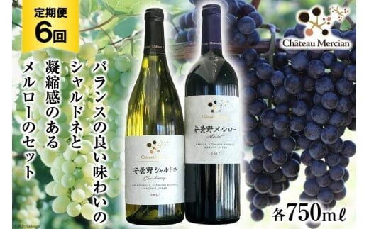 定期便 ワイン 赤 白 安曇野メルロー & 安曇野シャルドネ 各 750ml 6回 計 12本 [シャトー・メルシャン 勝沼ワイナリー 長野県 池田町 48110306] 飲み比べ 赤ワイン 白ワイン 赤白