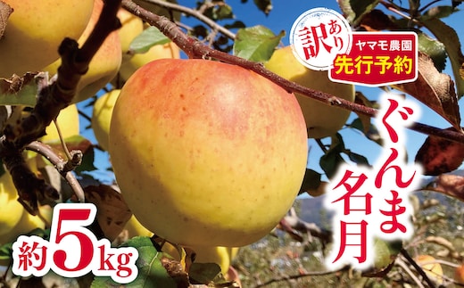 訳あり ぐんま名月 約5kg | ヤマモ農園