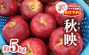 訳あり 秋映（あきばえ）約5kg 【2026年先行予約】 ｜ヤマモ農園
