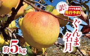 訳あり ぐんま名月 約5kg | ヤマモ農園