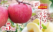【2026年先行予約】訳あり シナノスイート約5kg | ヤマモ農園