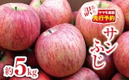 【2025年先行予約】訳あり サンふじ 約5kg ｜ 果物 フルーツ りんご リンゴ 林檎 果汁 サンふじ 訳あり 長野県 松川村 信州